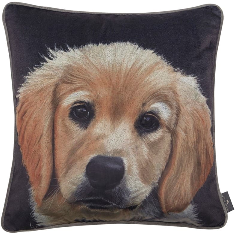 PRINTED GOLDEN RETRIVER ON VELVET 45 X 45