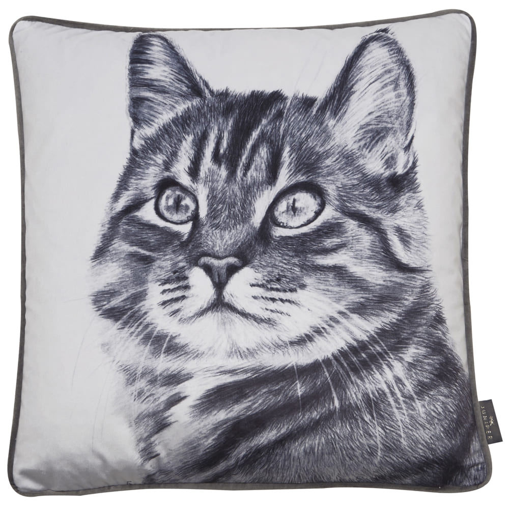 PRINTED CAT ON VELVET 45 X 45