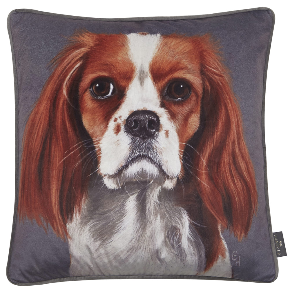 PRINTED SPANIEL ON VELVET 45 X 45