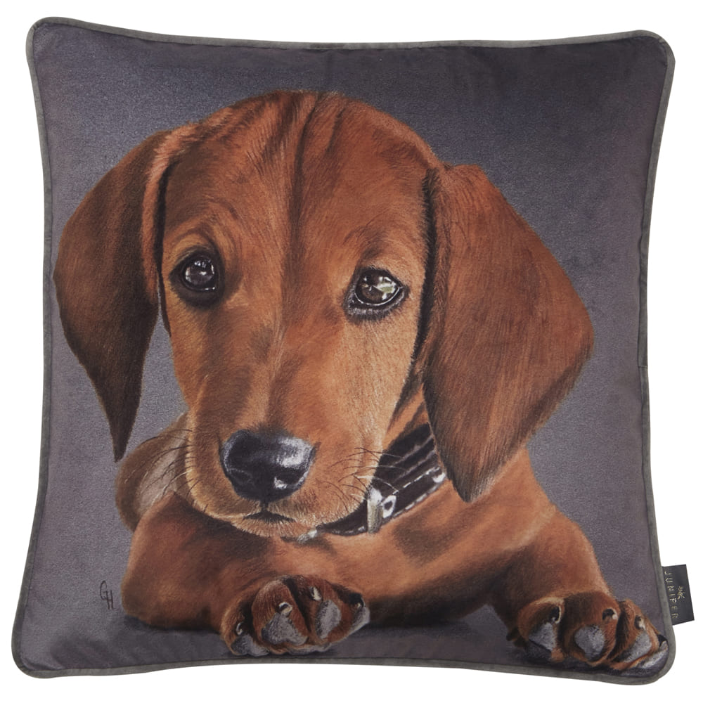 PRINTED DACHSUND 45 X 45